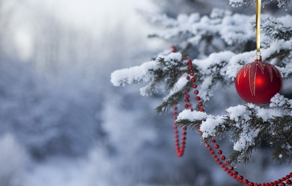Новогодняя Снежная Сказка