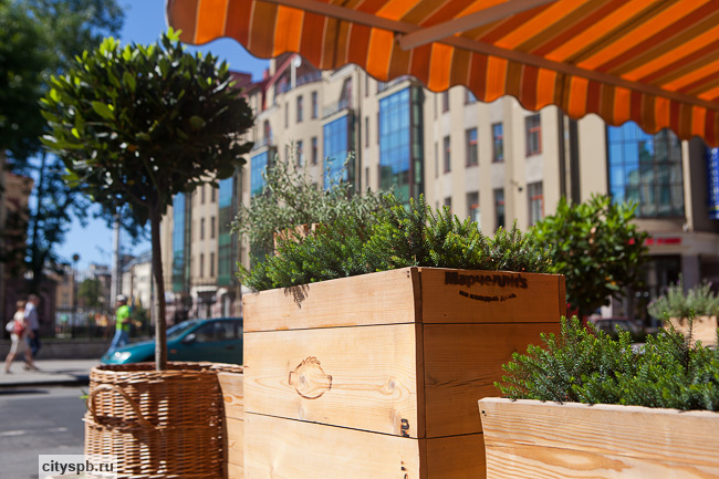 Маршрут на час: метро "Площадь Восстания". Часть вторая (фото)