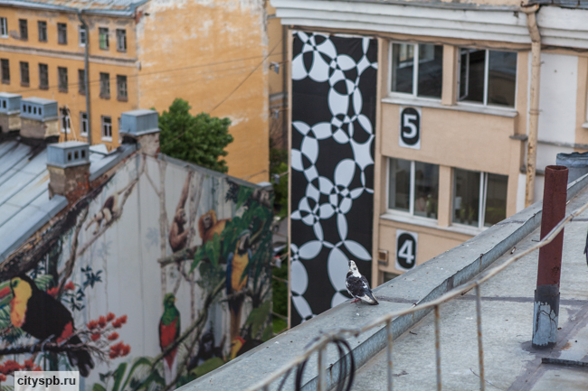 Чем заняться в выходные - обзор событий. Часть третья (фото)